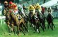 Horse Racing - History Horse Racing