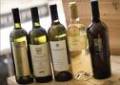 Wine Tasting For Beginners - Information Resource